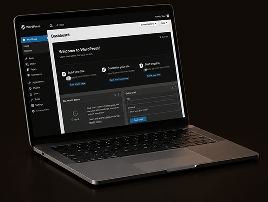 The WordPress Plugin